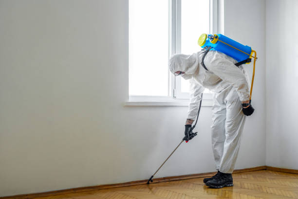 Best Pest Prevention Services  in Taylors, SC